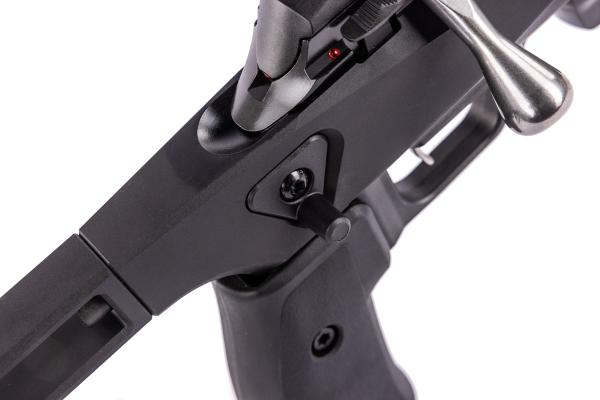 Tikka T1x Ace Target (8).jpg